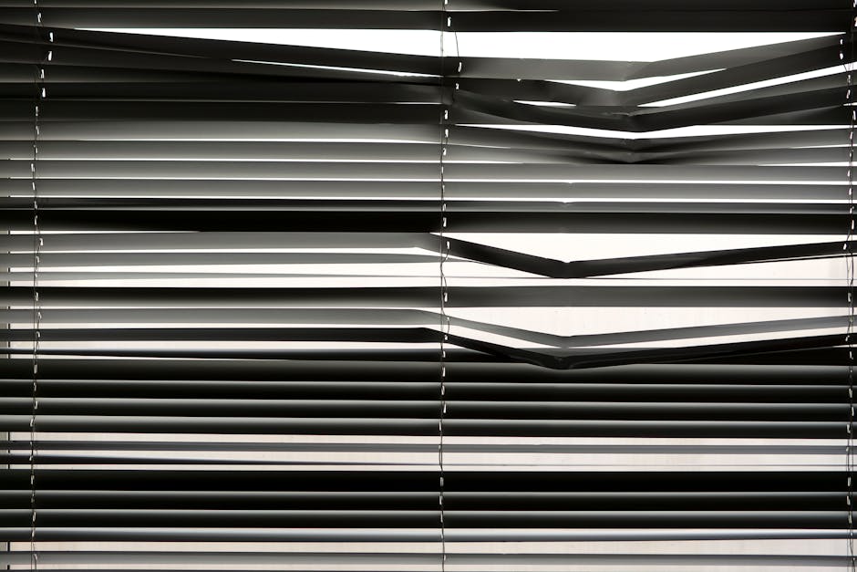 Modern roller shades installed in a contemporary living space